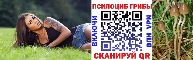 Купить  Оха  Псилоцибиновые грибы Magic Shrooms 