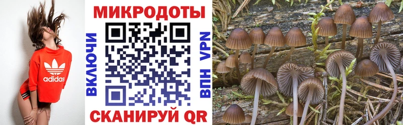 Псилоцибиновые грибы прущие грибы Оха
