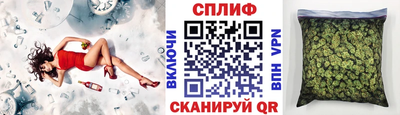 Конопля сатива  Купить закладки  Оха 